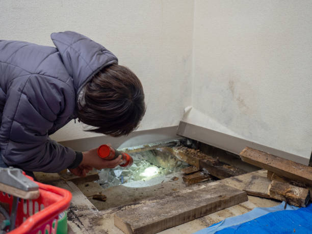 Best Dehumidification Services  in South Sumter, SC