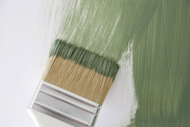 Best Mold Prevention Services  in South Sumter, SC