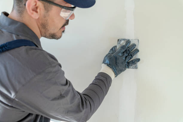 Mold Remediation for Vacation Homes in South Sumter, SC