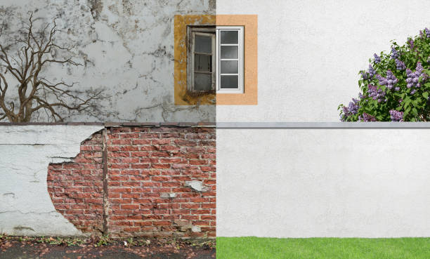 Best Basement Mold Removal  in South Sumter, SC