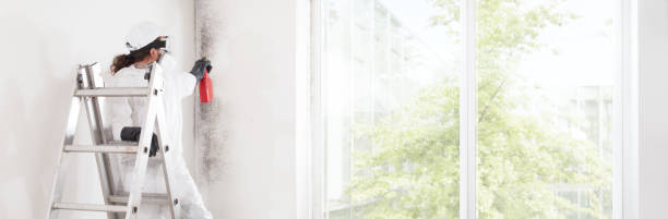 Best Residential Mold Inspection & Testing  in South Sumter, SC