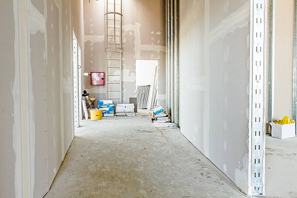 Best Forensic Mold Investigation  in South Sumter, SC