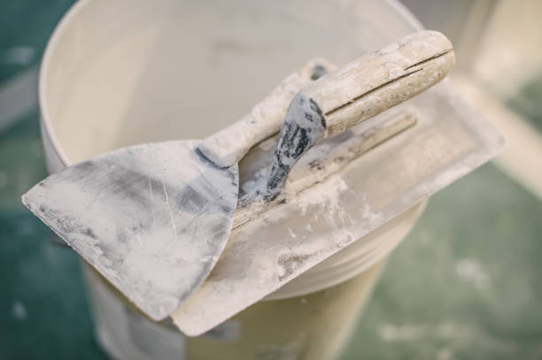 Best Asbestos and Lead Testing During Mold Inspection  in South Sumter, SC